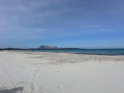 Paesaggio naturale nelle vicinanze dell'appartamento
