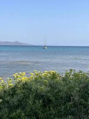 Paesaggio naturale nelle vicinanze dell'appartamento