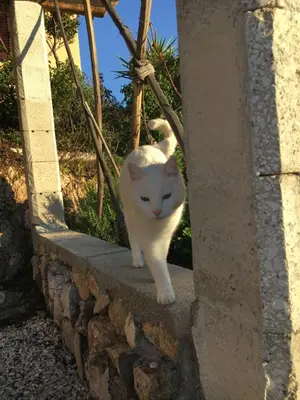 Ospiti di NatureLove con animali domestici
