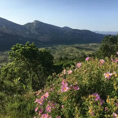 NatureLove