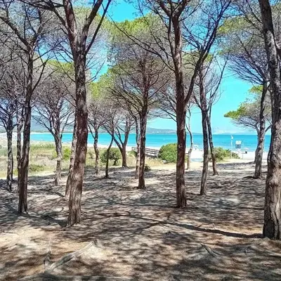 Suite Sardinia -Appartamento indipendente a Tanaunella