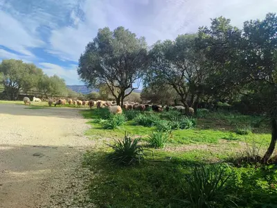 Giardino di Cuile Casari