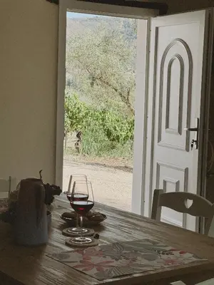 Bevande di Casa di campagna 'Sa Vinzedda'