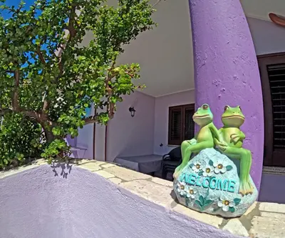 Planimetria di Casa Purple