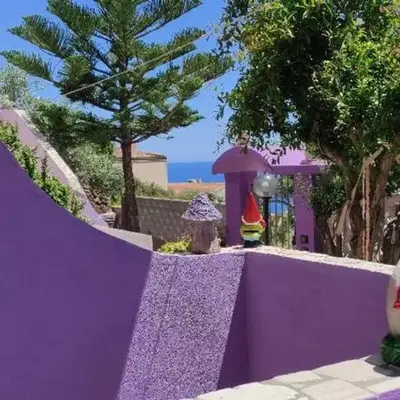 Casa Purple