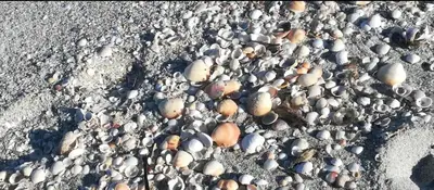 Planimetria di Ila La Caletta