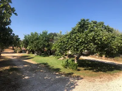 Giardino di NicChia Turchese