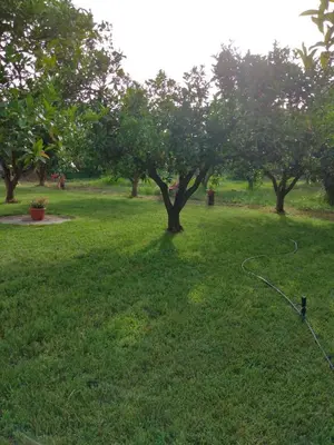Giardino di Appartamento villa delle Arance 300mt dalla spiaggia