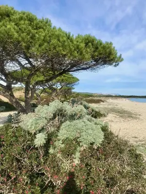 Paesaggio naturale nelle vicinanze della casa vacanze