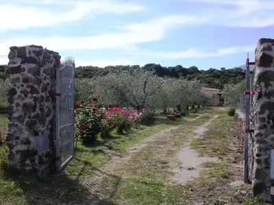 Giardino di Villa degli Ulivi e delle Rose