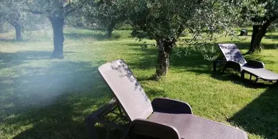 Giardino di Villa degli Ulivi e delle Rose