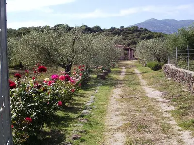 Paesaggio naturale nelle vicinanze della casa vacanze