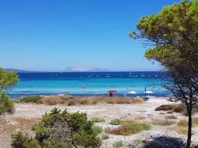 Paesaggio naturale nelle vicinanze dell'appartamento