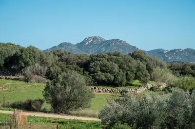 Paesaggio naturale nelle vicinanze della villa