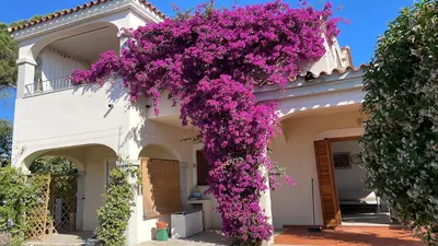 Planimetria di La casa dei Tati