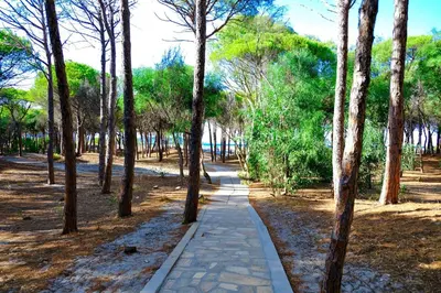 Giardino di Happy Camp mobile homes in Selema Camping