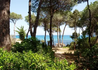 Paesaggio naturale nelle vicinanze dell'appartamento