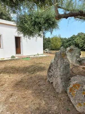Planimetria di Chicchiritanos