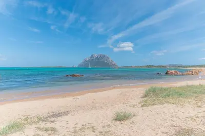 Paesaggio naturale nelle vicinanze dell'appartamento
