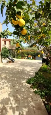 Planimetria di Tucano Single Room