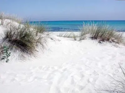 Paesaggio naturale nelle vicinanze dell'appartamento