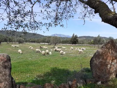 Paesaggio naturale nelle vicinanze del bed & breakfast