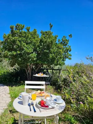 Bevande di Green Hotel 