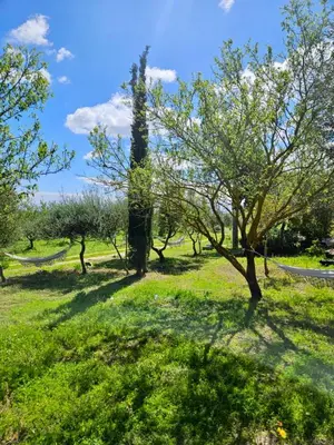 Giardino di Green Hotel 