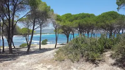 Paesaggio naturale nelle vicinanze dell'appartamento