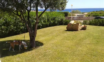 Paesaggio naturale nelle vicinanze della villa