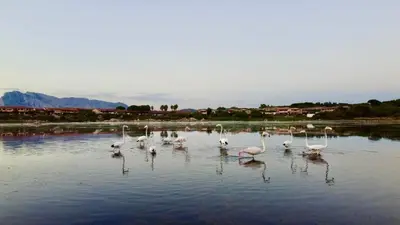 Paesaggio naturale nelle vicinanze dell'appartamento