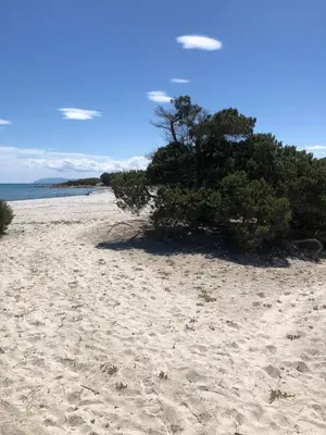 Paesaggio naturale nelle vicinanze dell'appartamento