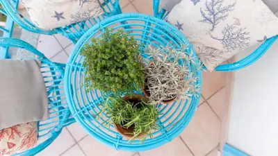 Planimetria di Gabbiani - Cala Gonone