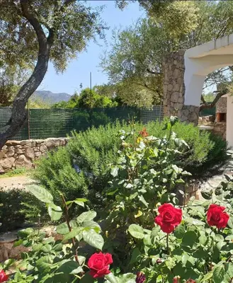 Planimetria di Depandance Luxe Cugnana