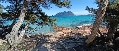 Paesaggio naturale nelle vicinanze della villa