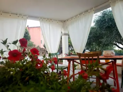 Giardino di CASA VACANZE SARDEGNA in Gallura 1KM dal mare