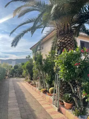 Giardino di Villa delle palme