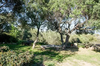 Paesaggio naturale nelle vicinanze della villa