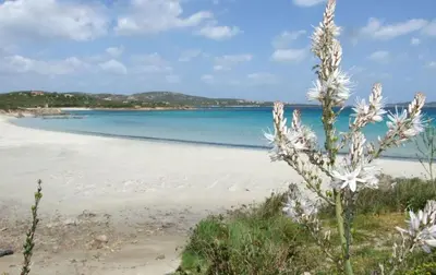 Paesaggio naturale nelle vicinanze della villa