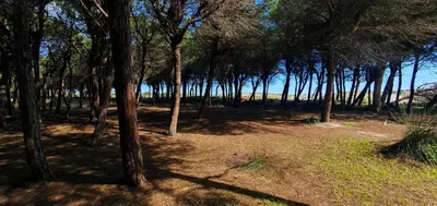 Paesaggio naturale nelle vicinanze della casa vacanze