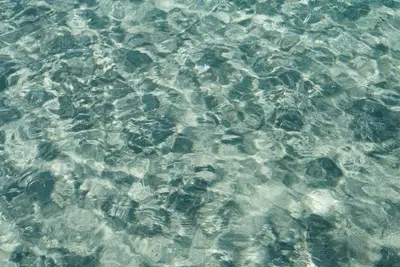 Paesaggio naturale nelle vicinanze dell'appartamento