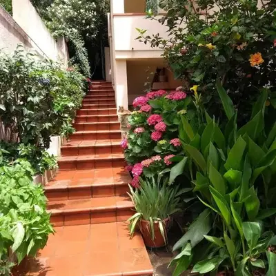 Casa Mia