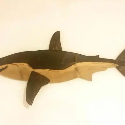 the shark's house