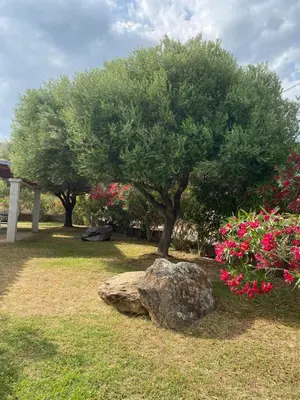 Giardino di Affitta Camere L'Oleandro