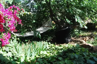 Giardino di natural farm with sea view