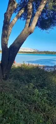 Paesaggio naturale nelle vicinanze dell'appartamento