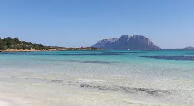 Paesaggio naturale nelle vicinanze dell'appartamento
