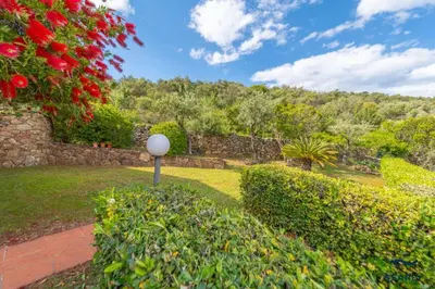 Giardino di Uliveto Oasis - By Searly