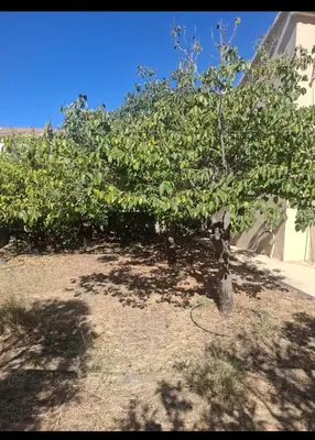 Giardino di Casa Anna