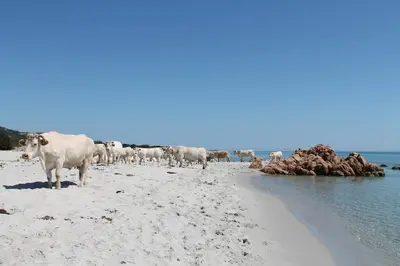Paesaggio naturale nelle vicinanze dell'appartamento